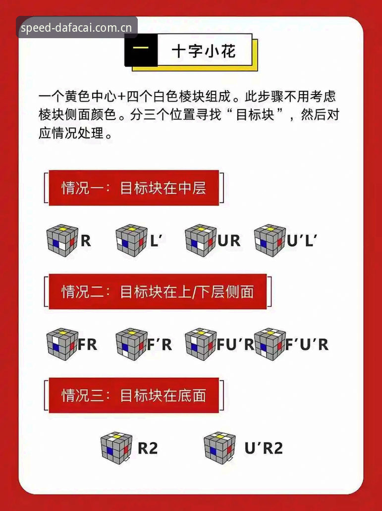 大发快三官方平台新手入门完整指南：掌握最新快三玩法技巧的实用经验